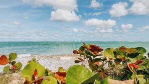 På stranden