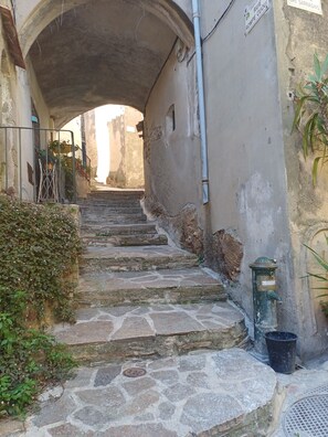 Property grounds - A delightful little village home (Ramatuelle)