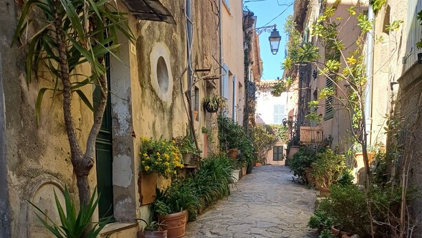Une ruelle étroite pavée, bordée de plantes en pot et de bâtiments historiques.