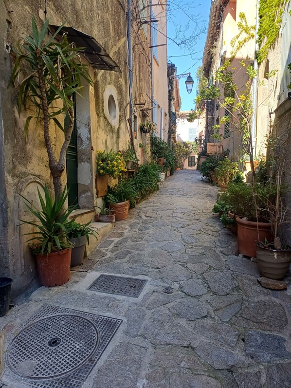 Property grounds - A delightful little village home (Ramatuelle)
