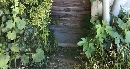 Guest Room “Chambre Au Calme” with Mountain View, Shared Terrace, and Wi-Fi