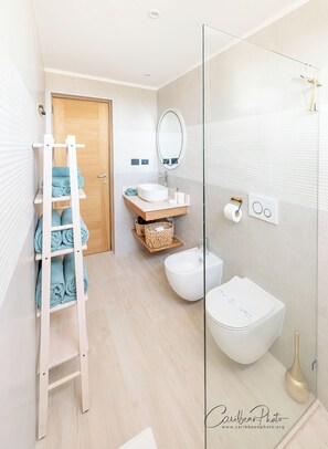Regadera, secadora de cabello, bidet, toallas 