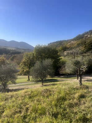 Botón de imagen sin clasificar, 5 de 17