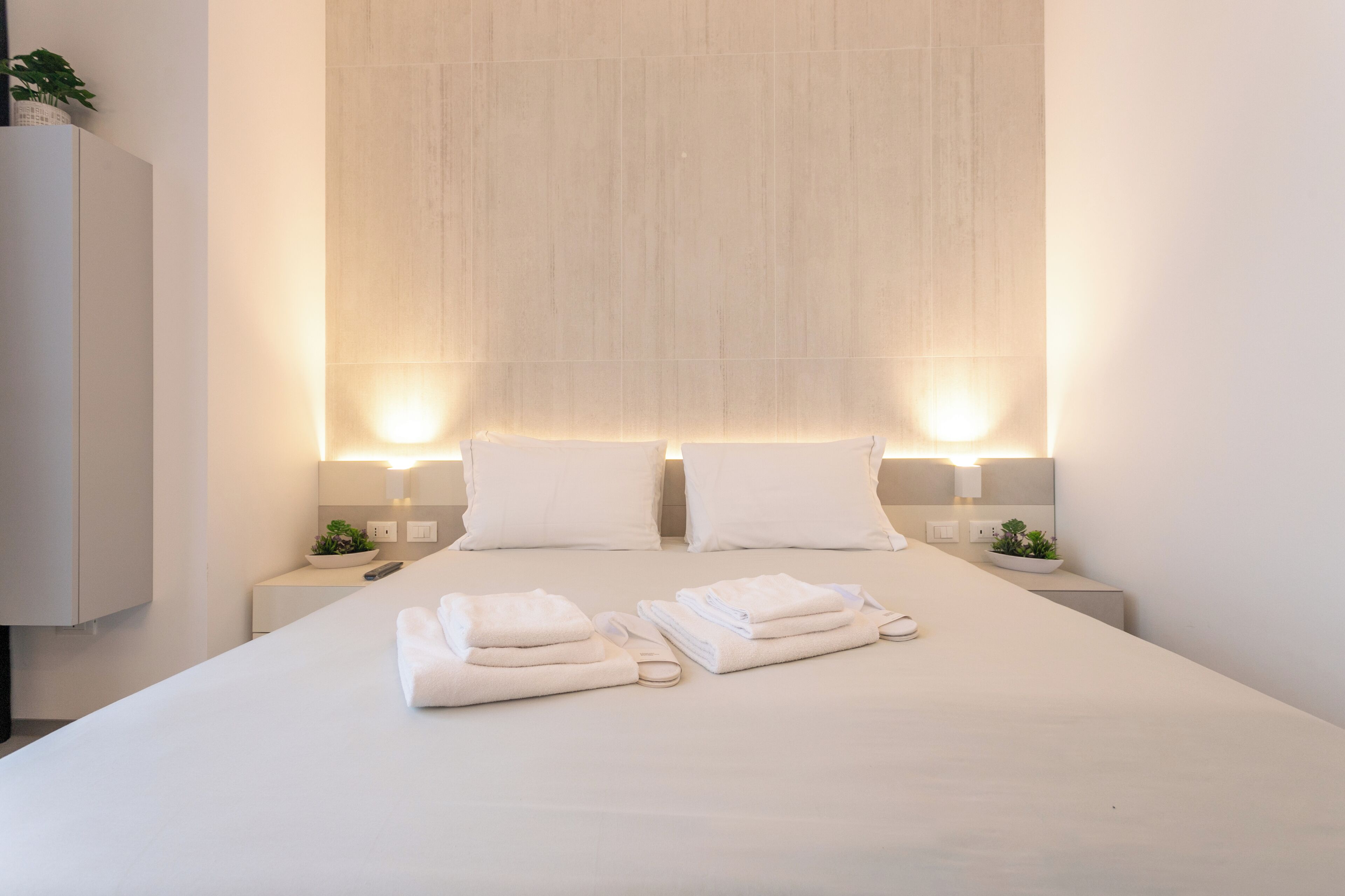 Deluxe Apartment, City View