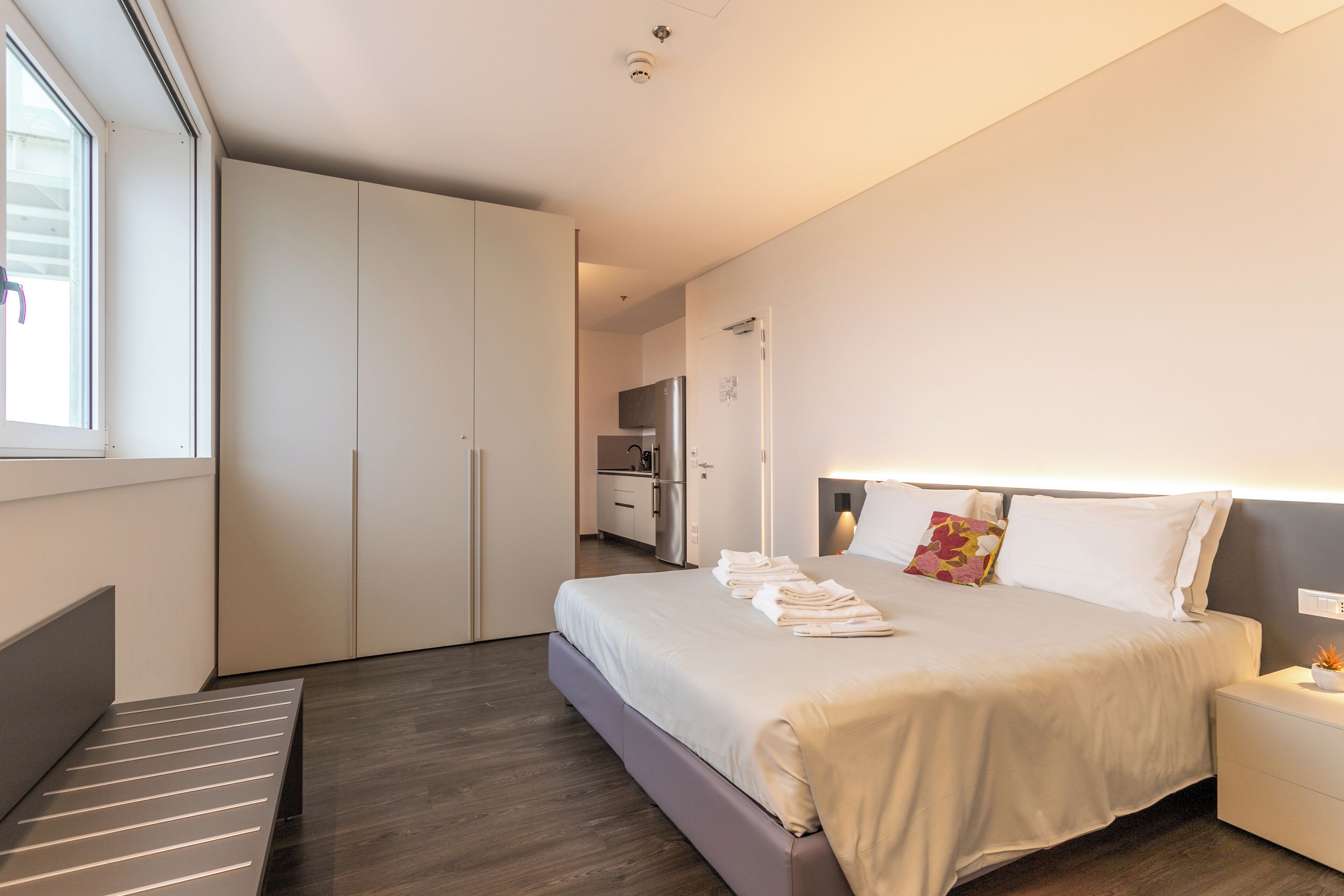 Deluxe Apartment, City View