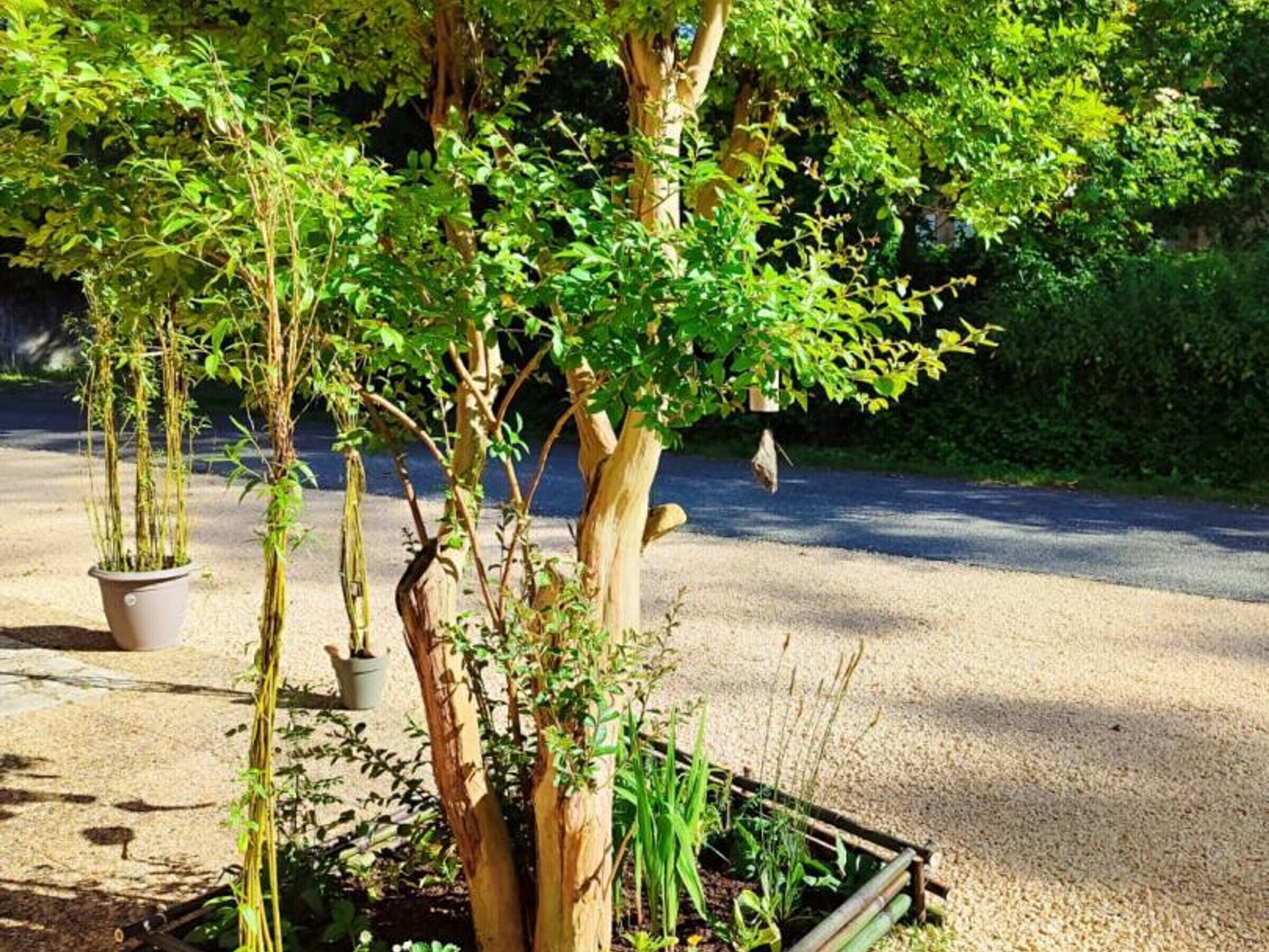 Áreas de la propiedad