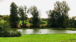 Una vista tranquilla su un lago, con un prato in primo piano, alberi e un edificio in lontananza.