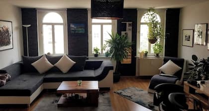 Elegant old apartment in the heart of the city