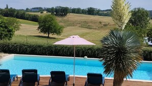 Ein Swimmingpool mit Liegestühlen und einer Palme.