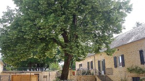 Ein Steinhaus mit einem großen Baum davor, einem verschlossenen Eingang und einer Treppe, die zum Eingang führt.