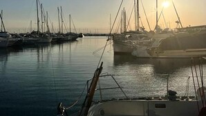 Een jachthaven met meerdere boten die aanmeren.