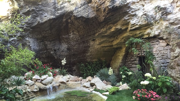 A garden with a pond, rocks, and various plants.