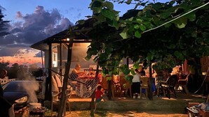 Trên bãi biển, ghế dài tắm nắng, dù trên bãi biển, bóng chuyền 