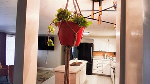 A modern kitchen with white cabinets, a black refrigerator, and a hanging plant in a red pot. - Nostalgic 2bed home in Crystal River, Minutes to Kings bay, Manatees &more (Crystal River)