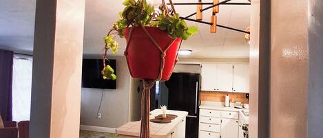 A modern kitchen with white cabinets, a black refrigerator, and a hanging plant in a red pot.