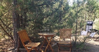 Cozy in the Pines getaway cabin in Hot Springs