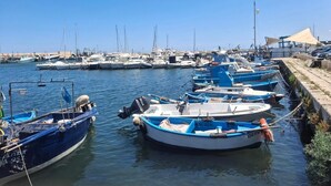 Een jachthaven met boten afgemeerd langs de waterkant.