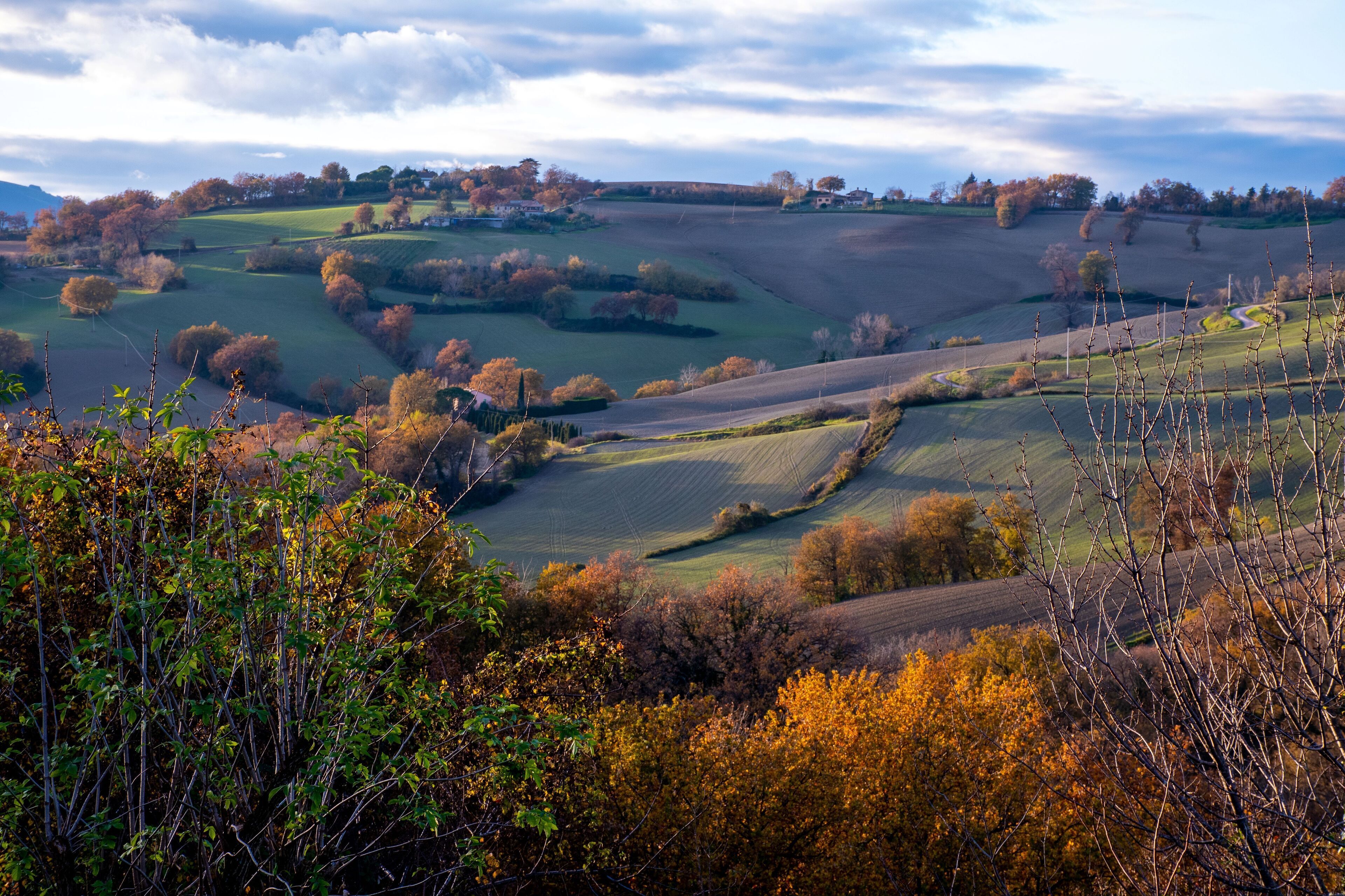 Une vue panoramique sur des collines ondoyantes, avec des champs et des arbres dispersés.