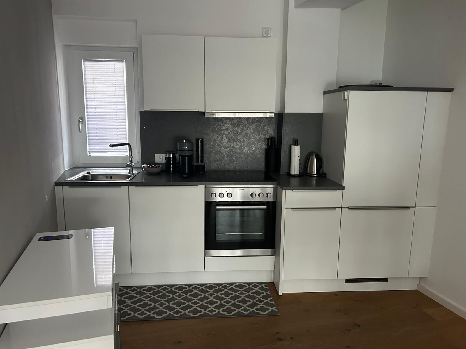 Frigorífico, horno, placa de cocina y lavavajillas