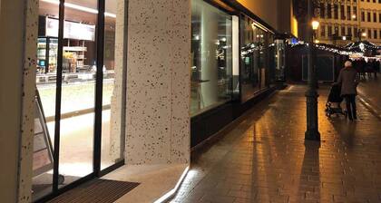 Brand new luxury apartment on Rathausplatz