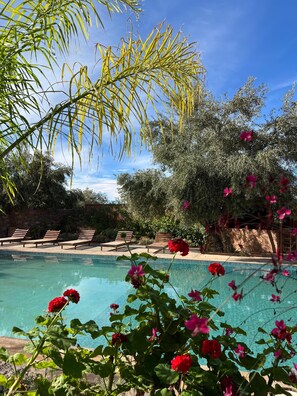 Una piscina cristalina con sillas de descanso y vegetación circundante.