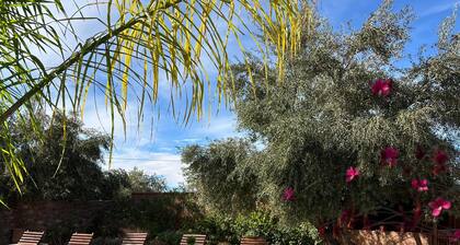 ecolodge dar bouhouta