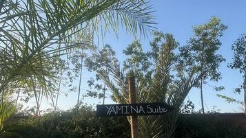 Family Double Room, 1 King Bed, Patio, Pool View | Premium bedding