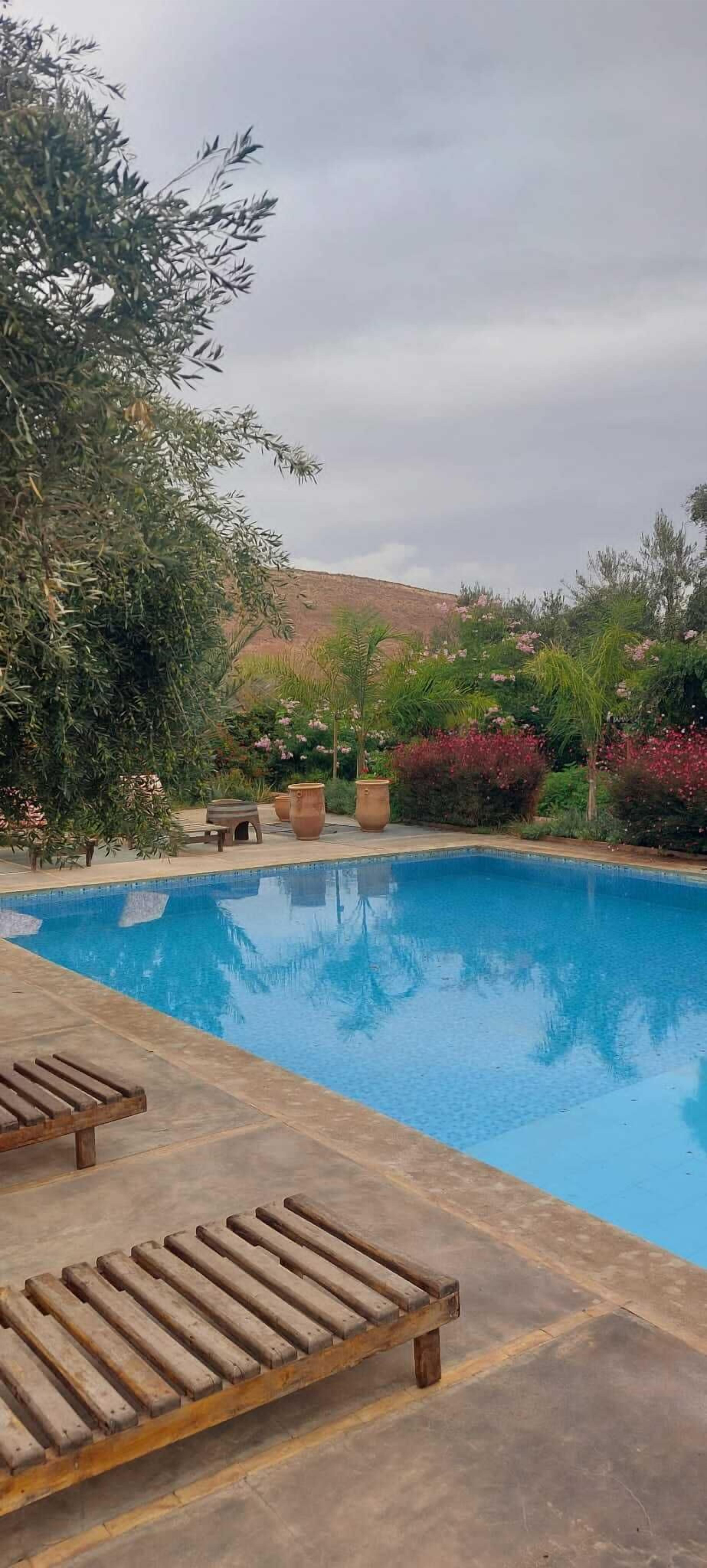 Una piscina con sillas de descanso y una variedad de plantas y flores a su alrededor.