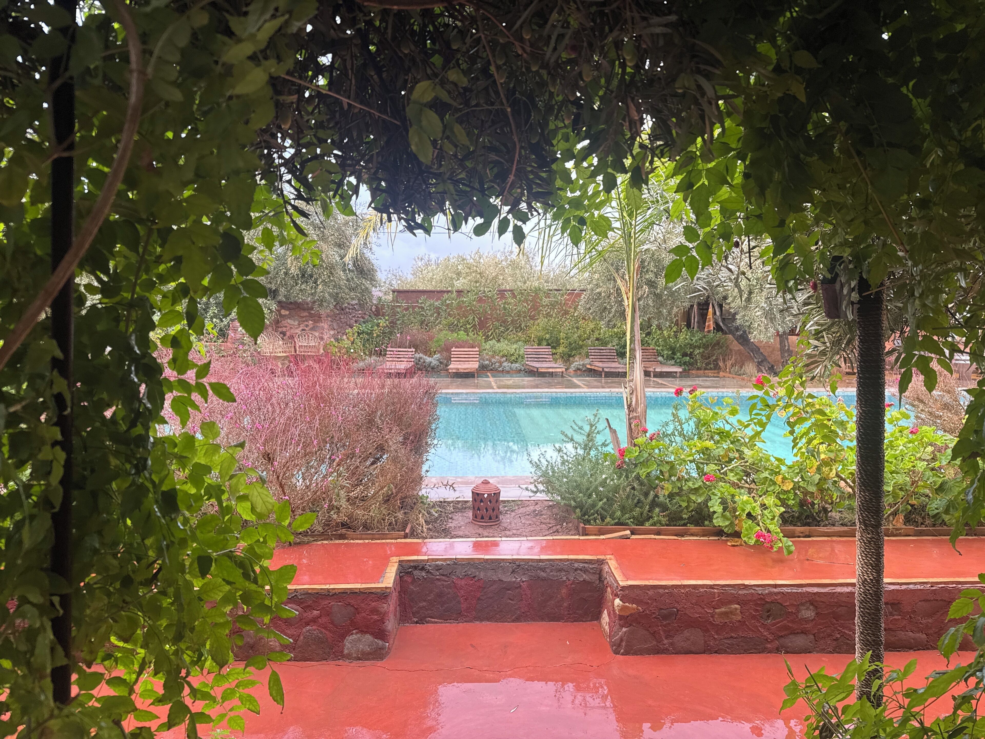 Zona de piscina con un sendero de piedra que lleva a ella, rodeada de follaje y sillones de madera.