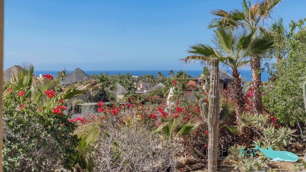 A garden with cacti and red flowers, a palm tree, and a view of the ocean.