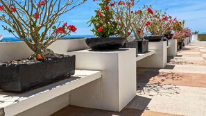 Property grounds - Luxurious 2-bedroom apartment steps from the beach (La Paz)