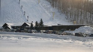 Sneeuw- en skisporten