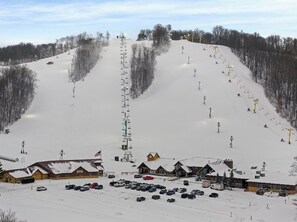 Snow and ski sports - Last Minute Opening! Across from Nubs Nob, Early Check In, 2BR 2BA, Sleeps 4 (Harbor Springs)