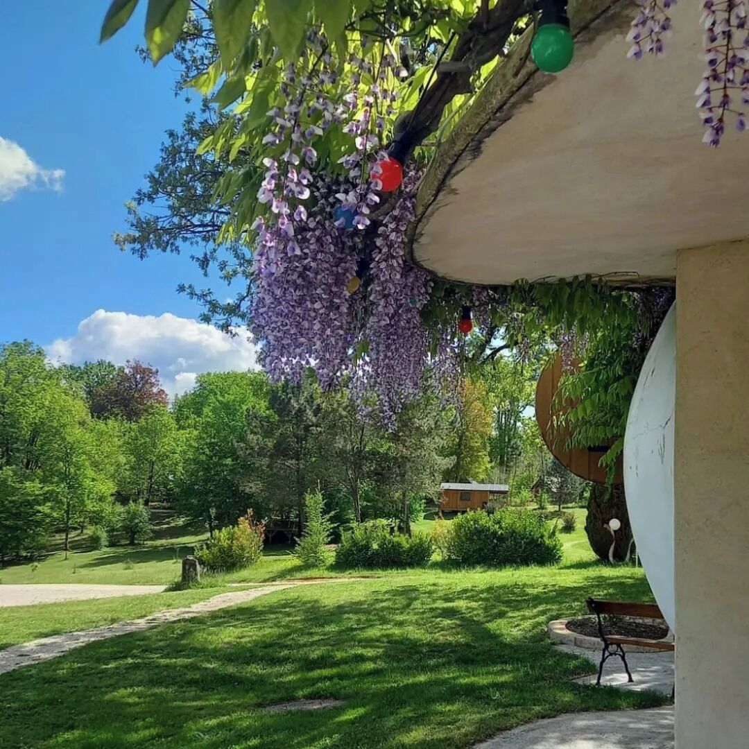 ا لمنطقة المحيطة بالمنشأة