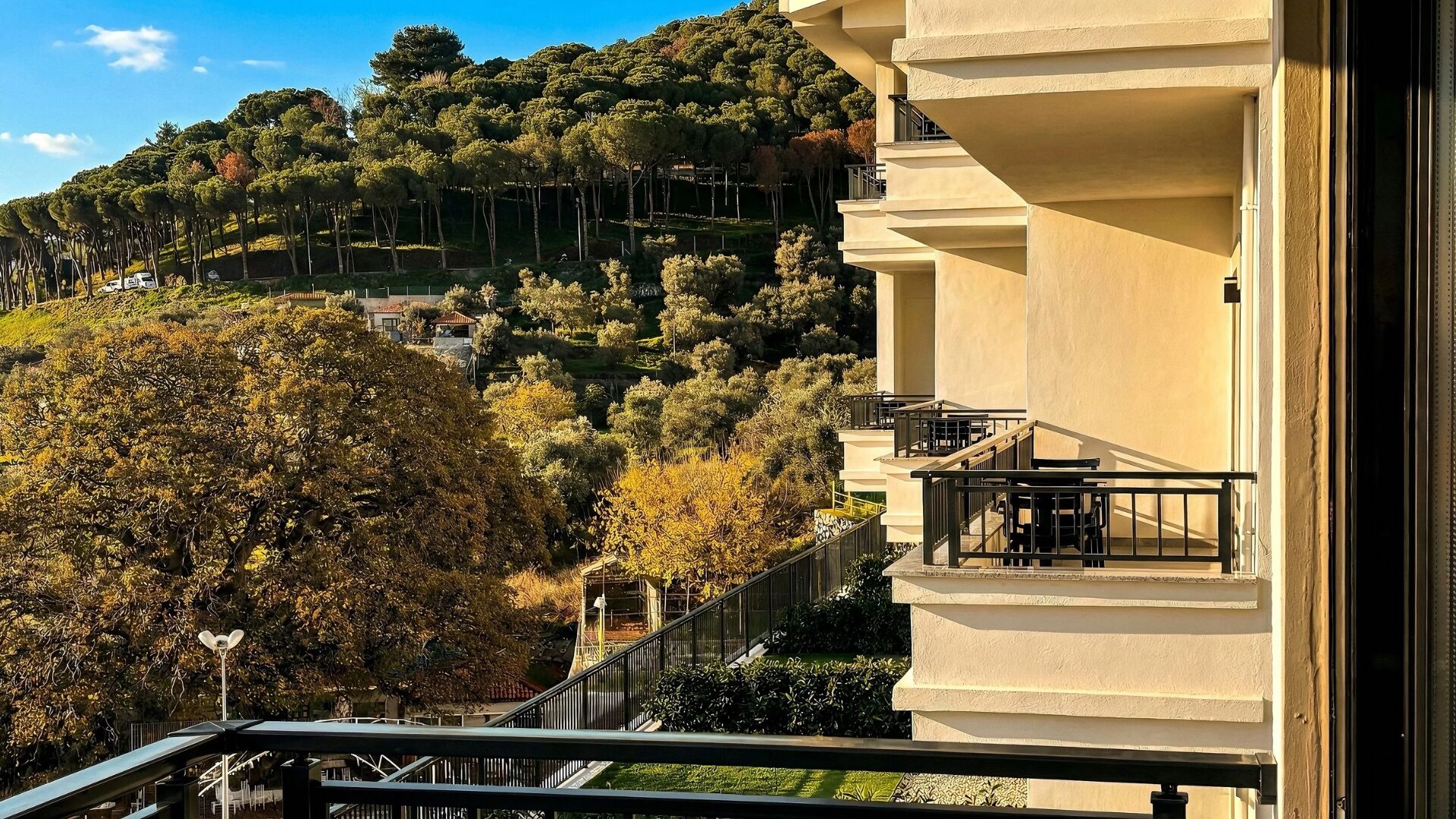 露台/庭院