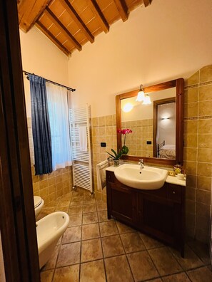 Douche, séchoir à cheveux, serviettes fournies