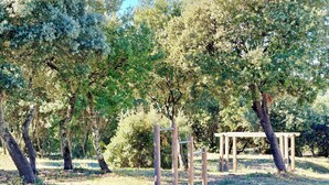 An outdoor area with trees and a wooden pergola structure. - L’Échappée Belle, 4 guests, Pool in Calvisson (Calvisson)