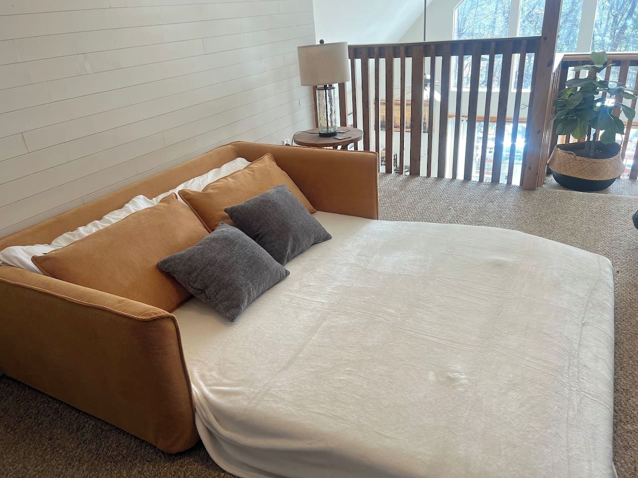 Une chambre avec un canapé-lit, une petite table avec une lampe et une plante en pot.