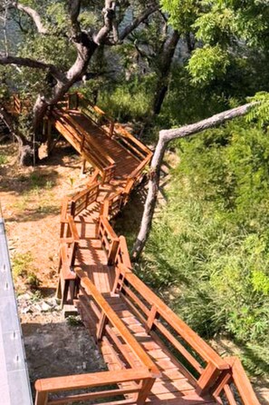 Property grounds - NEW Oceanfront, King Suite, Private Plunge Pool (Roatan)