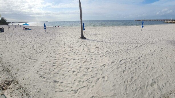 A sandy beach with a single palm tree, a pier in the background, and a clear sky. - Harbor Haven Escape (Ruskin)