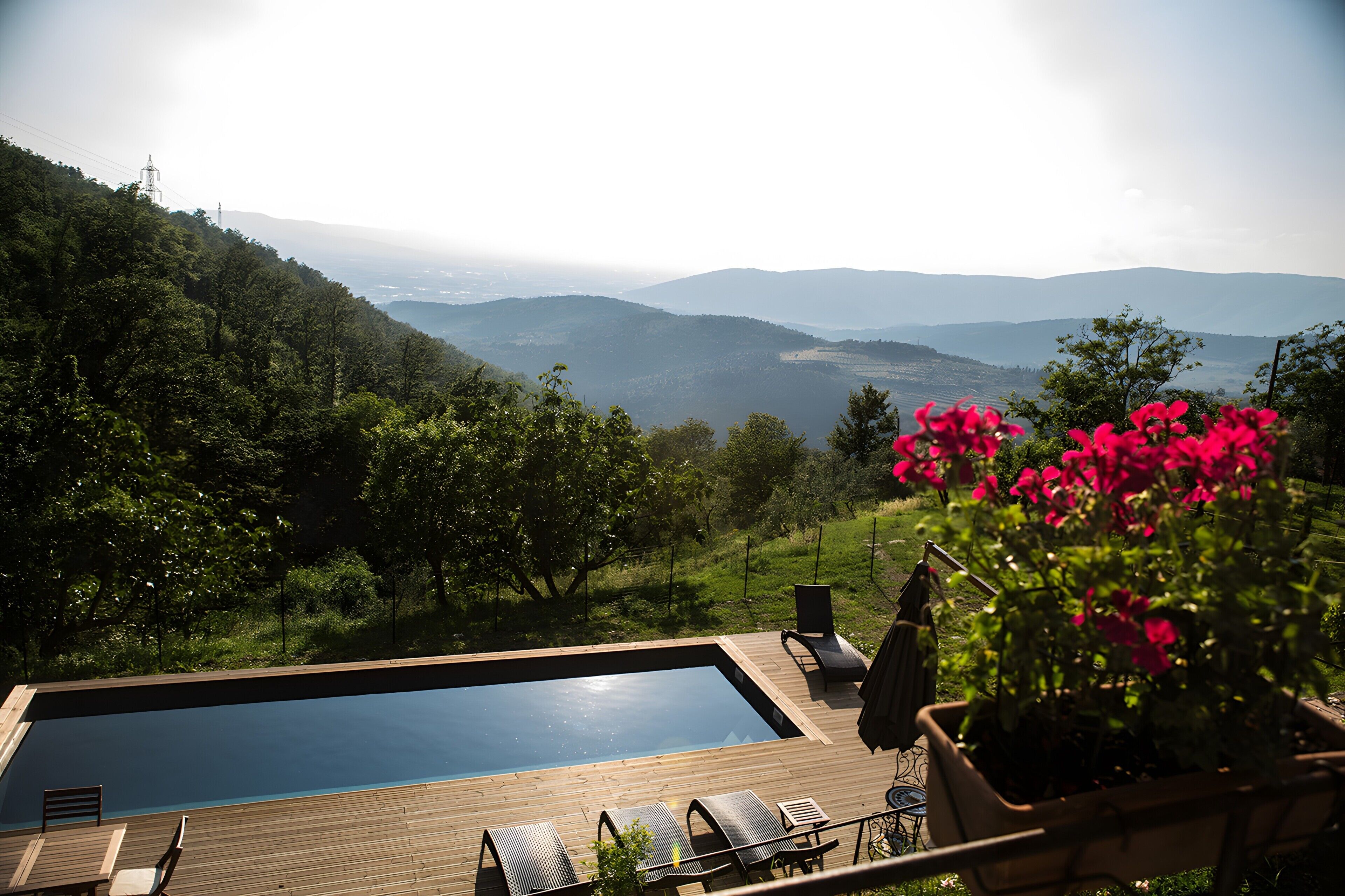 Un pontile in legno con piscina, sedie a sdraio e un vaso con fiori rosa.