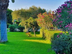 Jardines del alojamiento