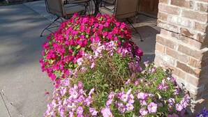 Eine Terrasse im Freien mit Tisch und Stühlen, einer Backsteinmauer und einem Blumenbeet mit rosa Blüten.