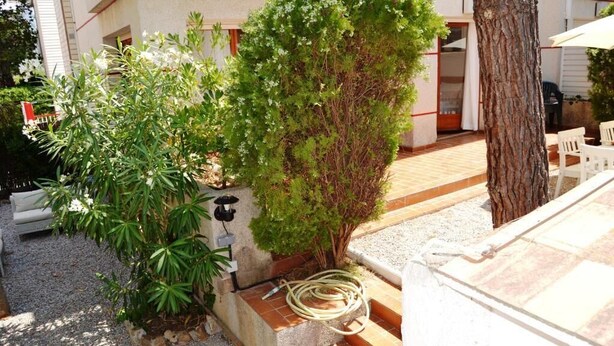 Eine Terrassenfläche mit Stufen zu einer Sitzgelegenheit, umgeben von verschiedenen Pflanzen und einem Baum.