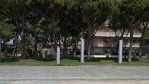 Ein gepflasterter Weg mit Bäumen und einem Gebäude im Hintergrund.