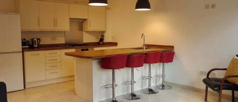 Fridge, oven, stovetop, dishwasher