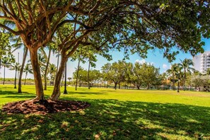Property grounds - South of Fifth Oceanfront condo with Beach Perks! (Miami Beach)