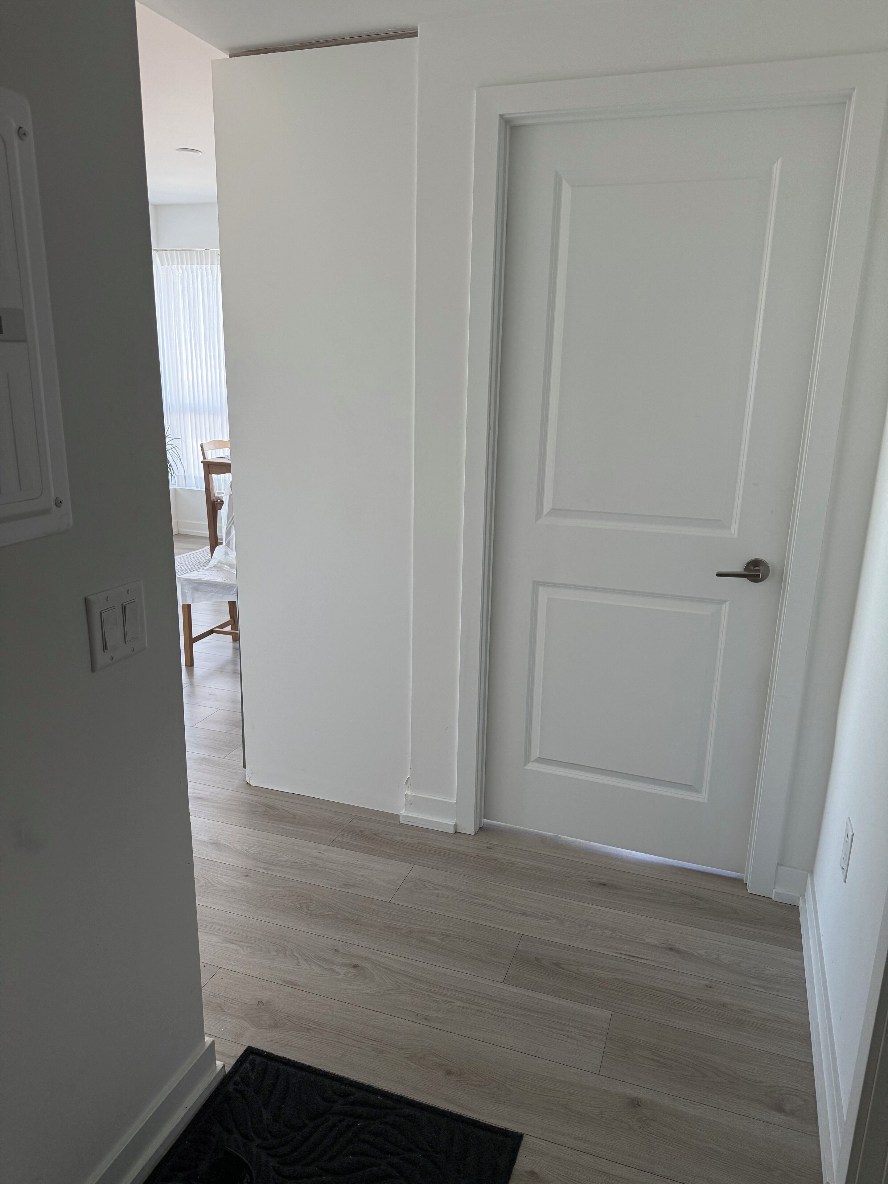 Un couloir avec une porte blanche, un plancher en bois et un paillasson noir.