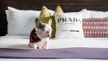 A dog sitting on a bed with pillows, one labeled "PRADA MARFA".