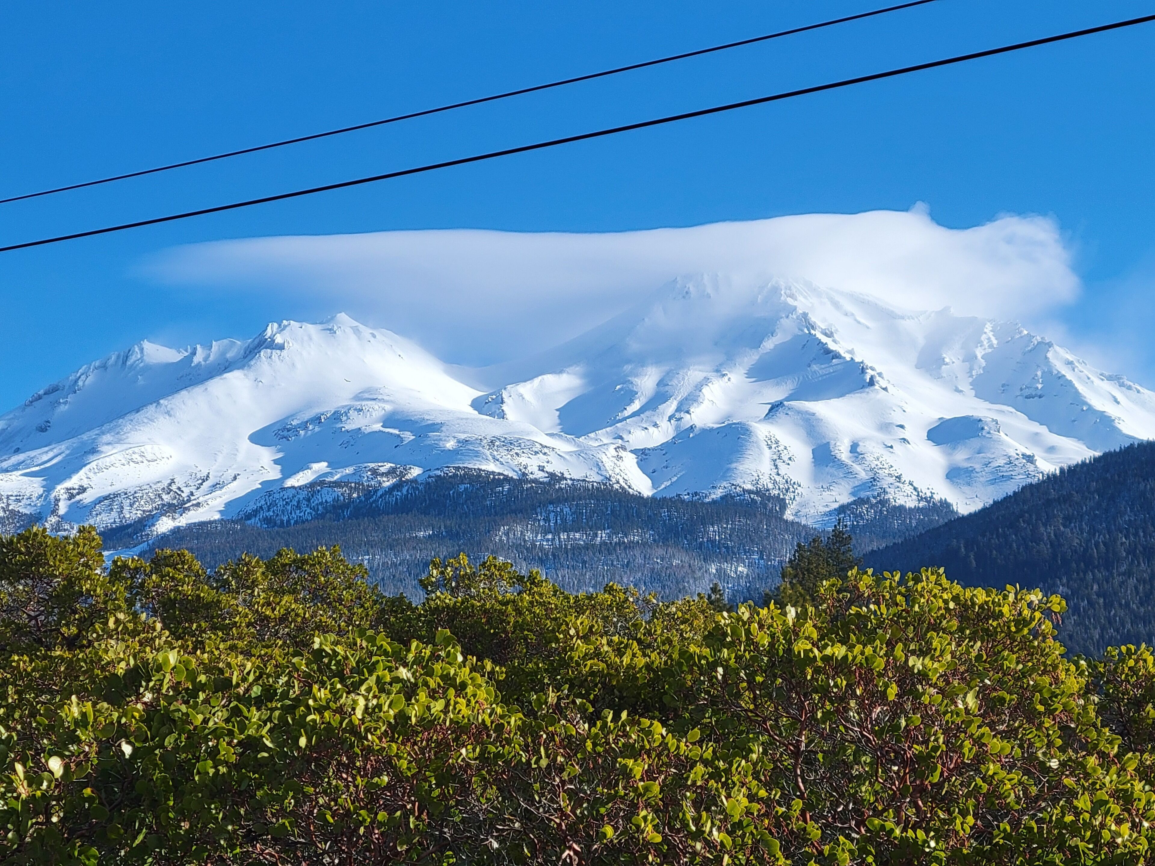 View of Mount Shasta from the driveway